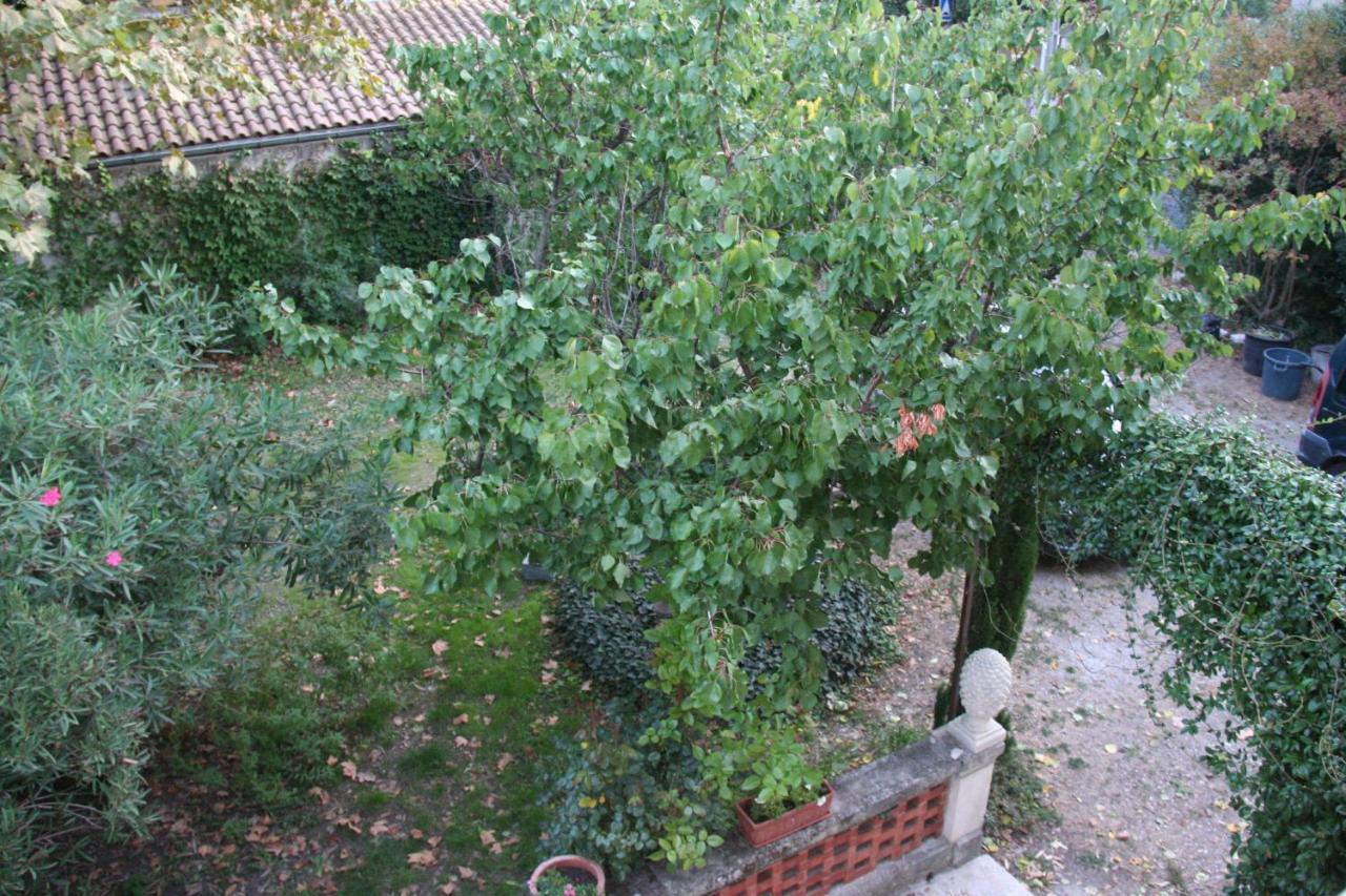 Le Mas Des Dames Appartement Avignon Exterior foto