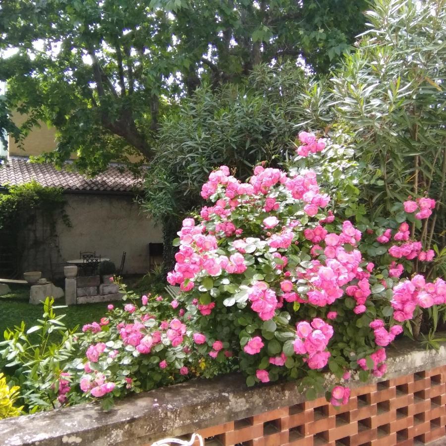 Le Mas Des Dames Appartement Avignon Exterior foto
